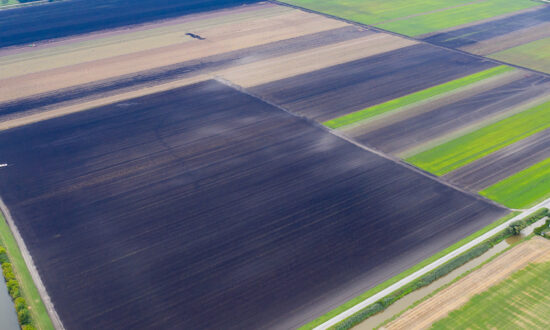 New-Agriculture-14