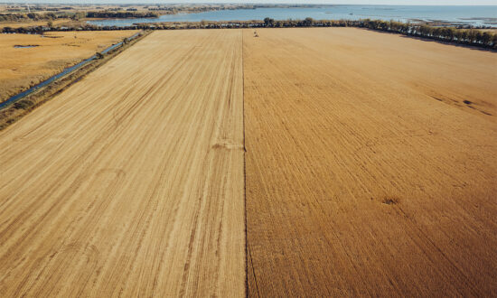 New-Agriculture-5
