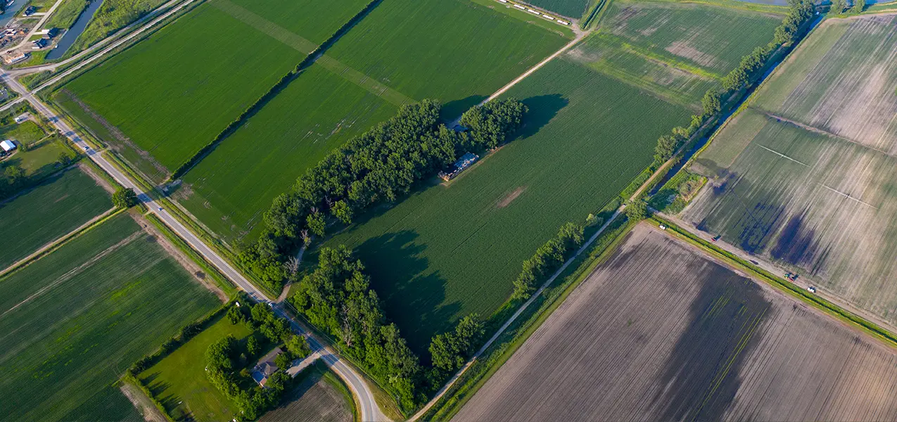 Agriculture/Farmland